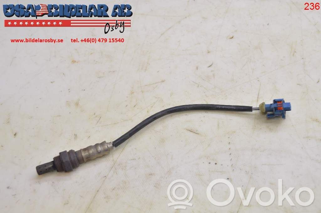 Servopumpe   55300531