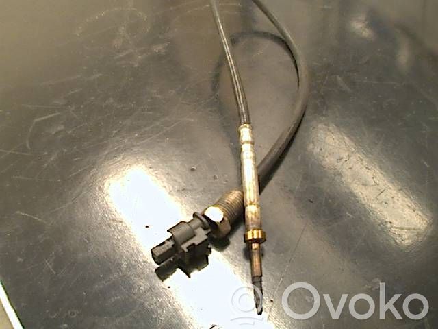 Abgastemperatursensor   13627806254,012656001910