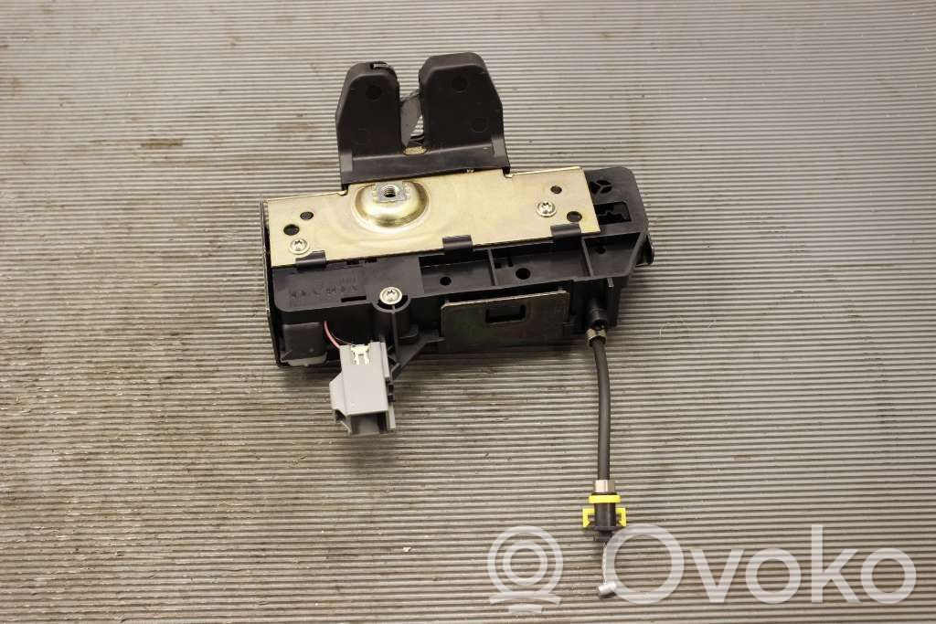 Loading door lock   31253053