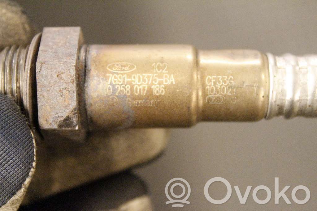Sonda lambda   31422345,0258017186