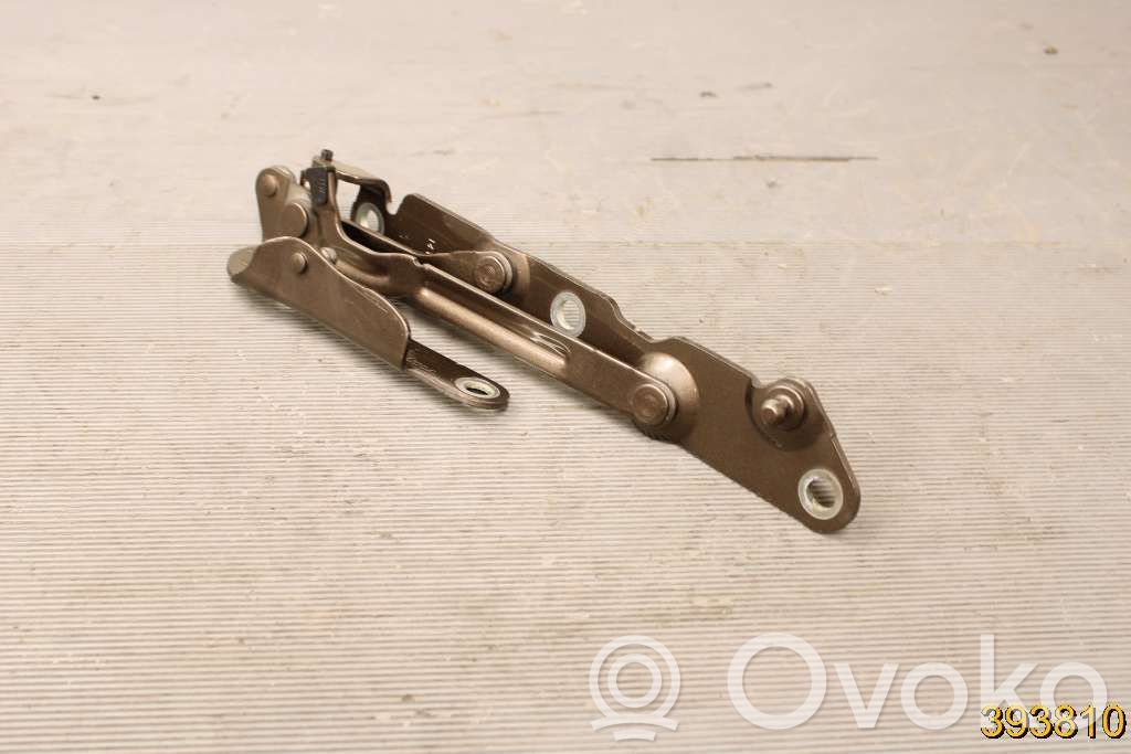Tailgate/trunk/boot hinge   30799274