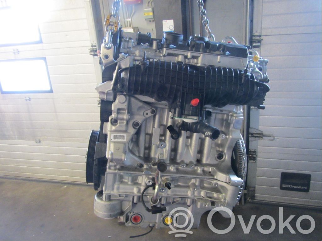 Engine   36010307,6906831,B4204T26
