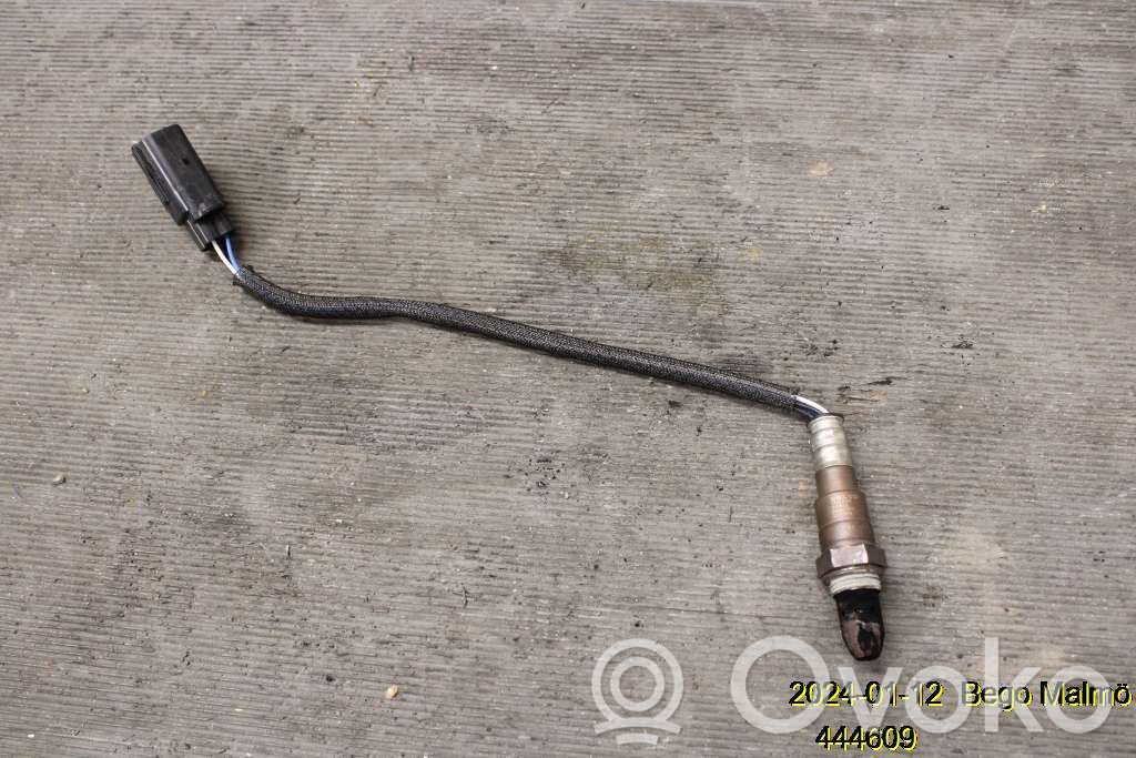 Lambda zondas   31439593