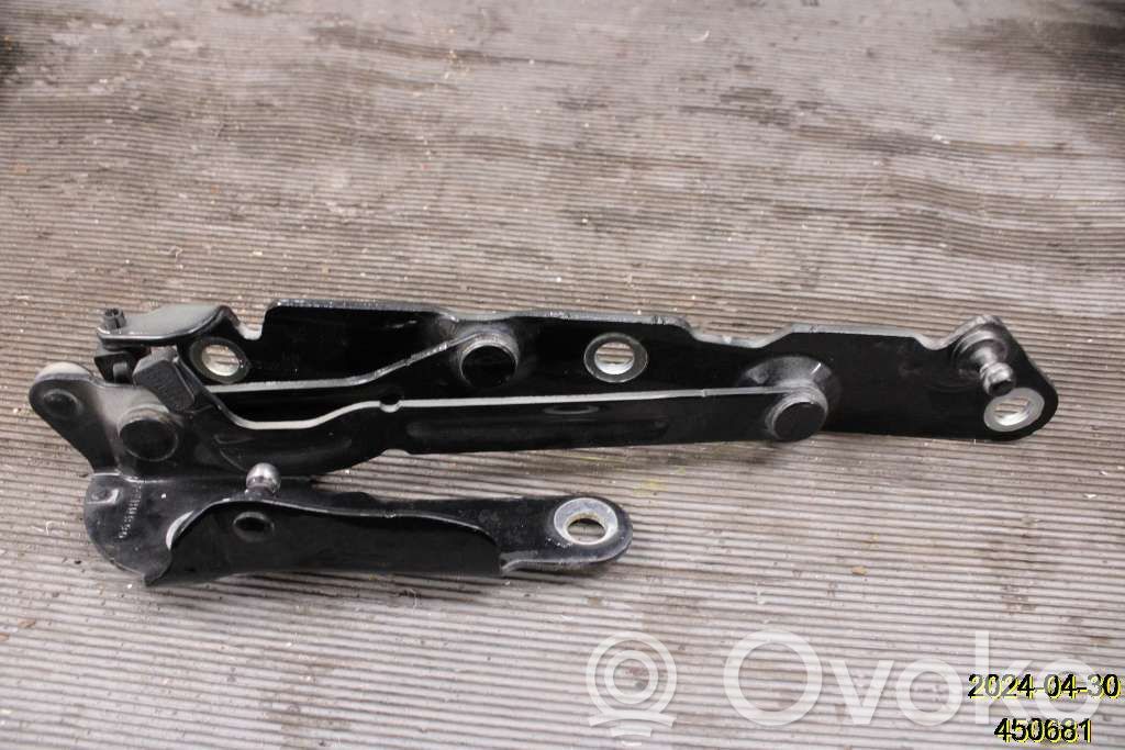 Tailgate/trunk/boot hinge   30799274