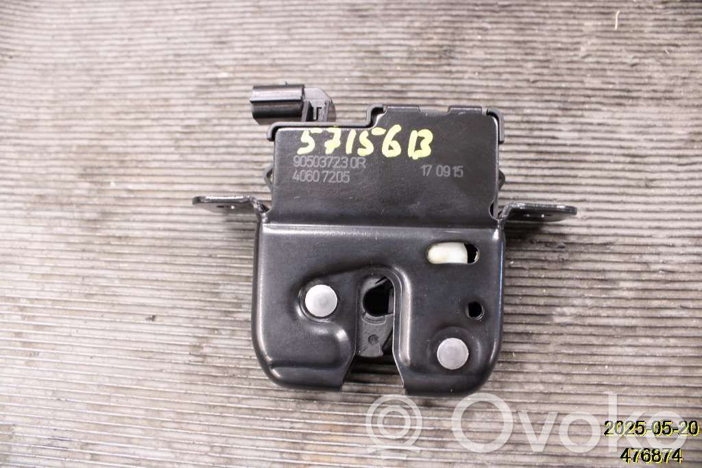 Loading door lock   905039326R,905037230R