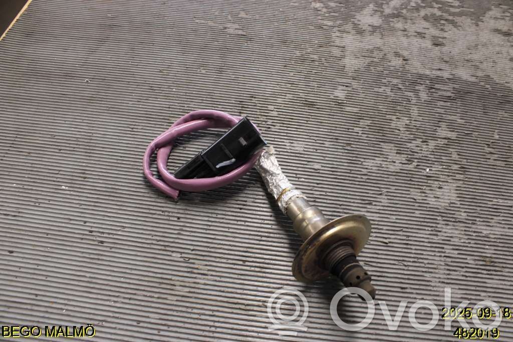 Зонд «Lambda»   226905288R,HMLGT6085R