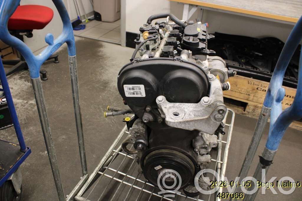 Engine   36050829,6906603,B4204T27