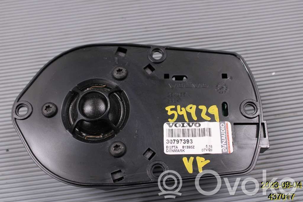 Altavoz del panel   30797393