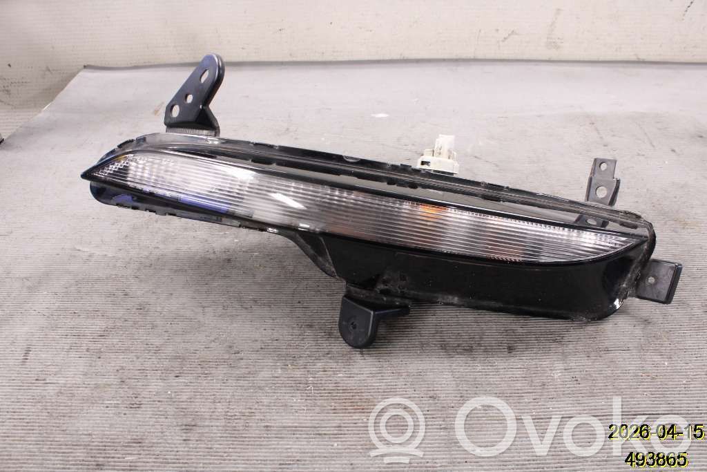 Frontblinker   261306376R