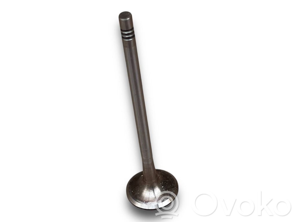 Válvula   55202556