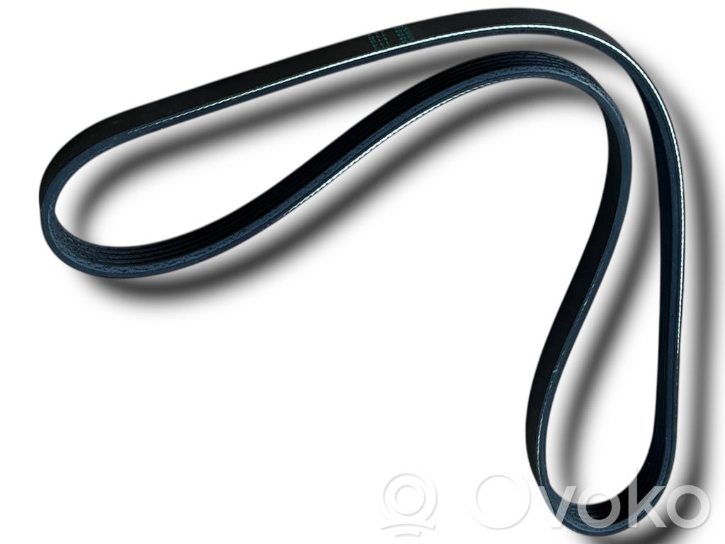 Ģeneratora siksna   D659,93182264