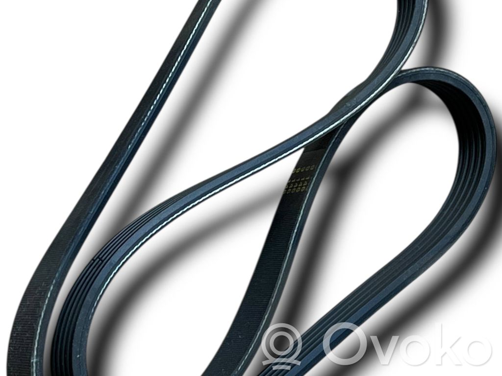 Fiat Idea Alternator belt 