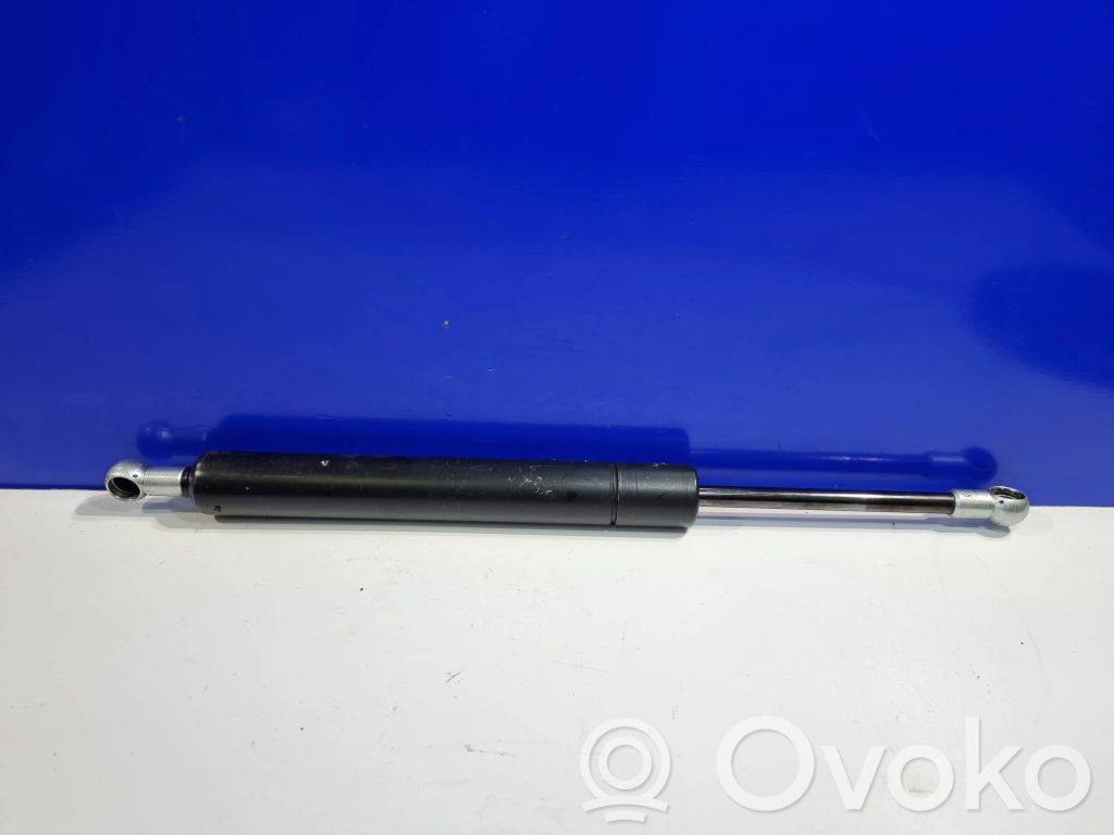 Tailgate/trunk strut/damper   4699260,12768264