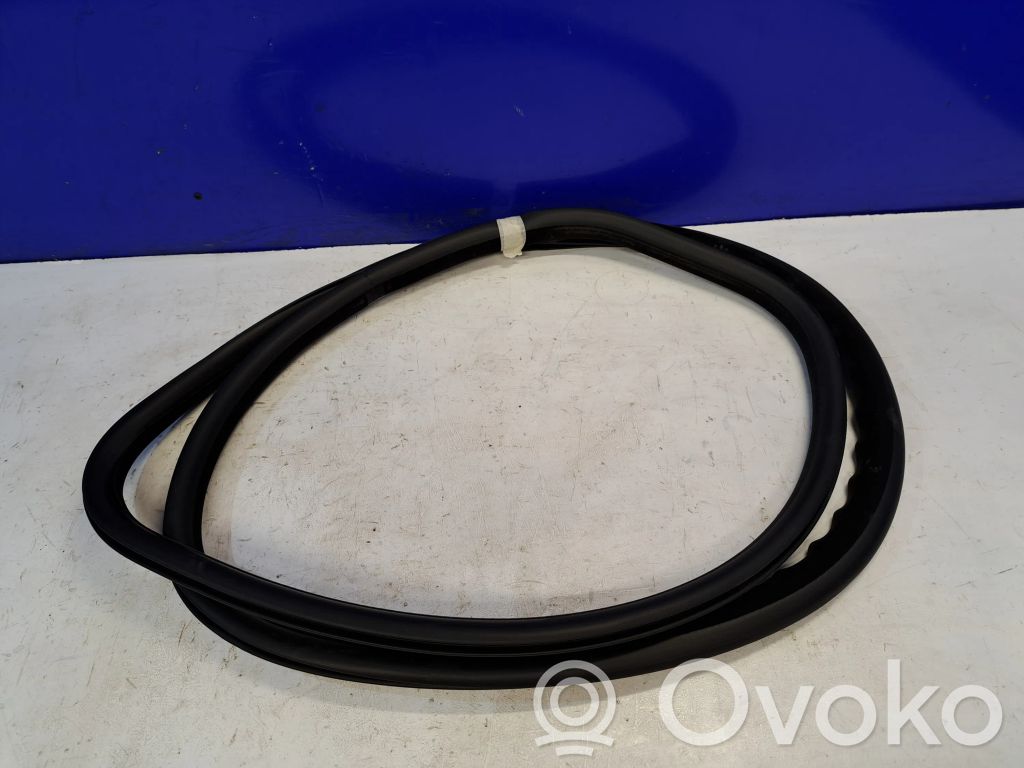 Volvo S80 Cheder cauciuc ușă față (pe ușă) 