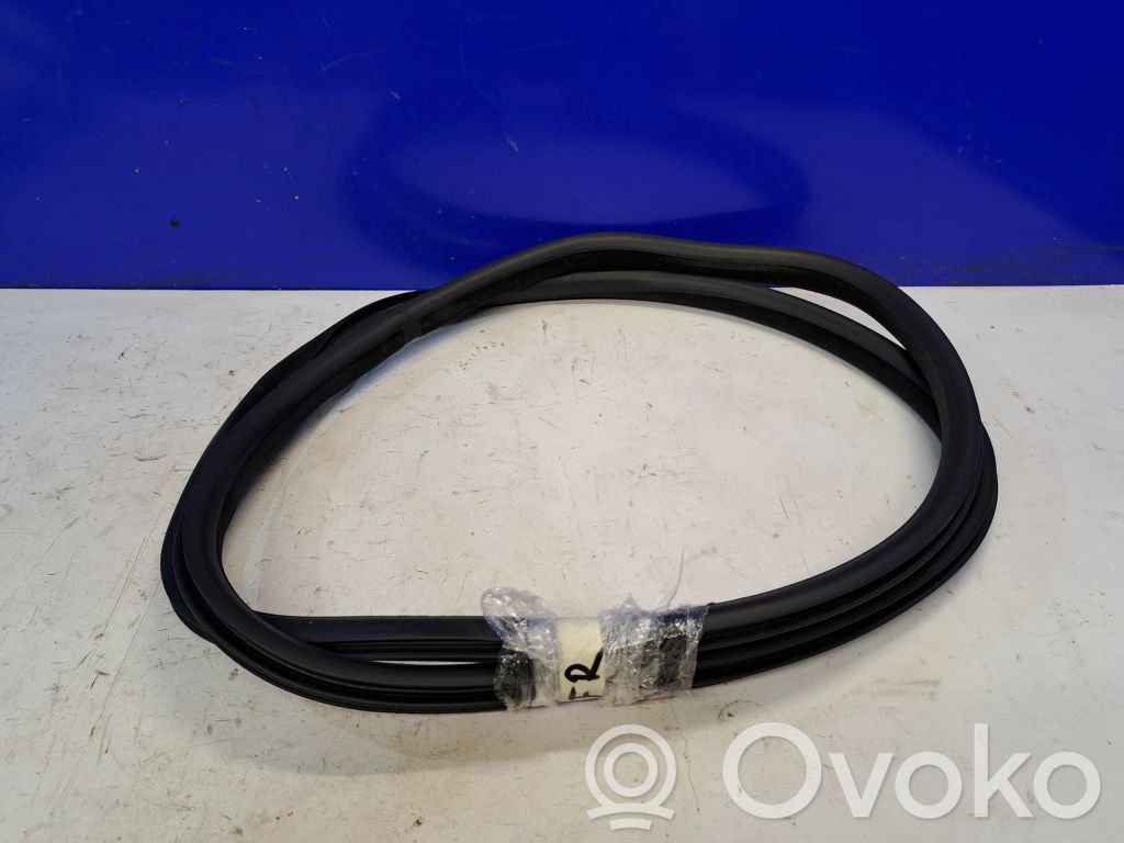 Volvo S80 Cheder cauciuc ușă față (pe ușă) 