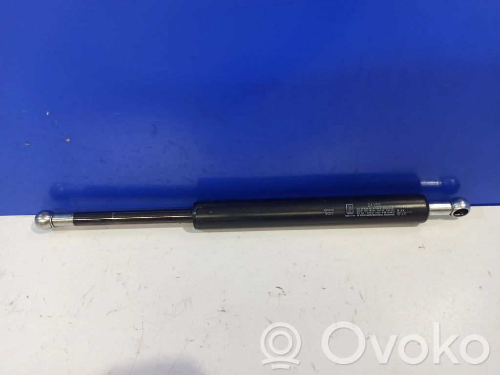 Tailgate/trunk strut/damper   4699260,12768264