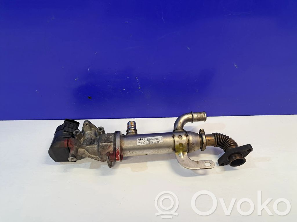 Volvo V50 Refrigerador de la válvula EGR 