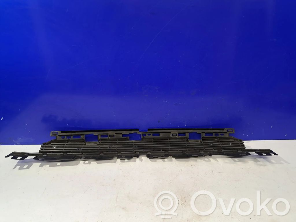 Front grill   31663677