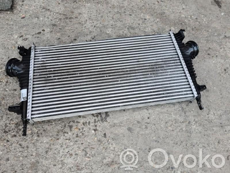 Intercooler radiator