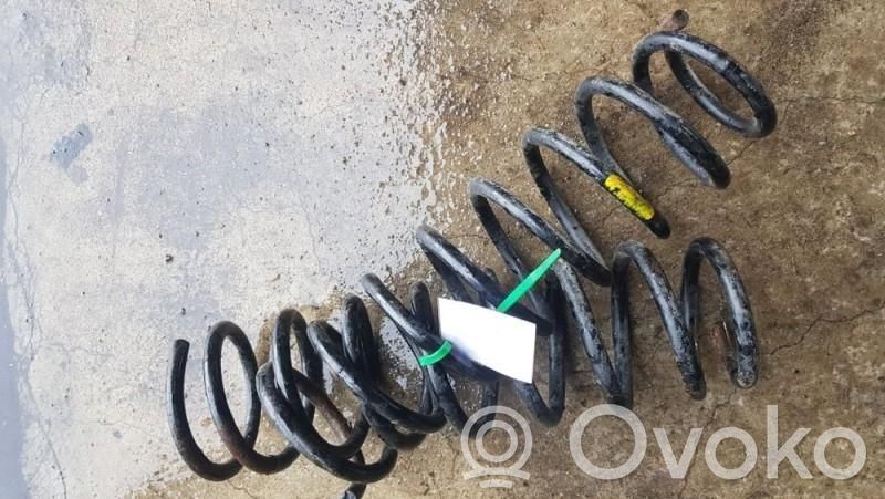 Front coil spring