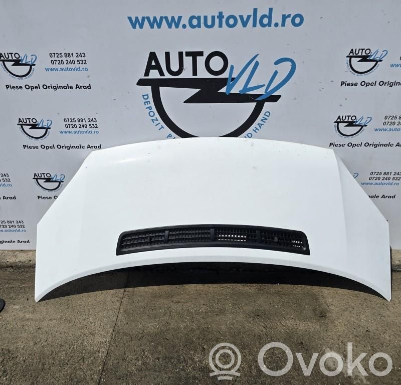 Engine bonnet/hood