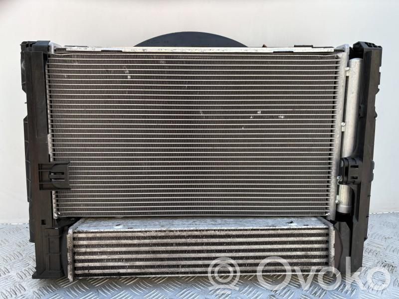 Radiatore intercooler   7798788