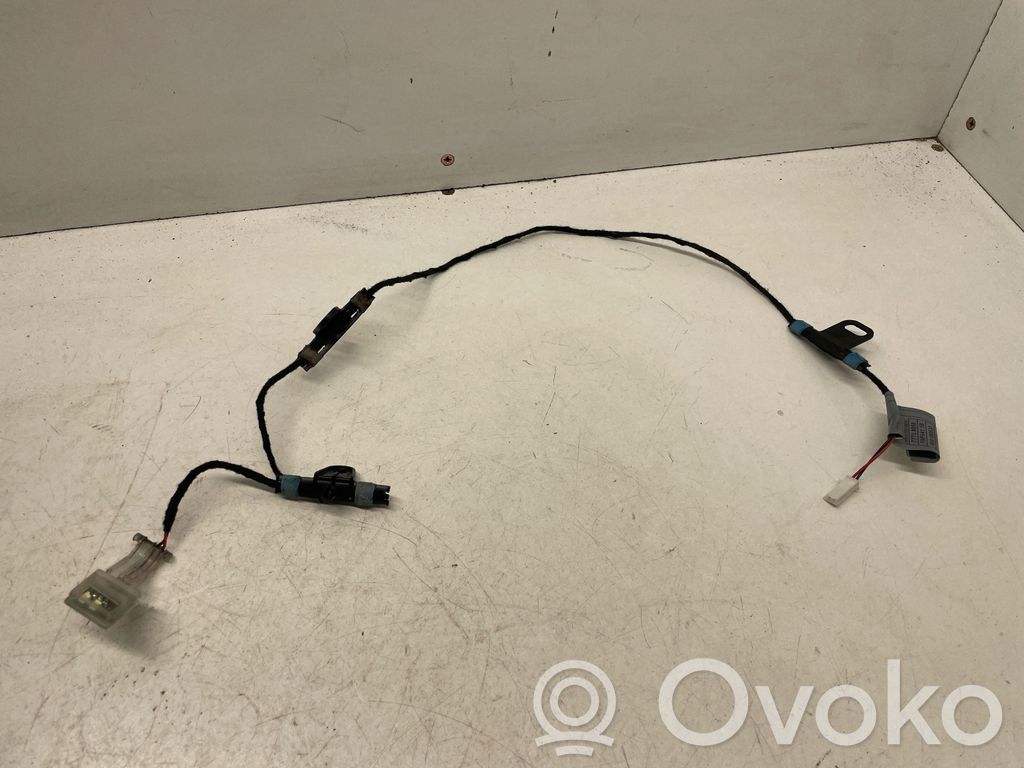 BMW X5 E70 Front door handle light (exterior) 