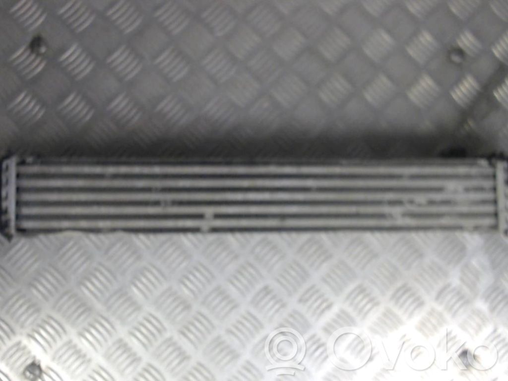 Interkūlerio radiatorius   00000384L7