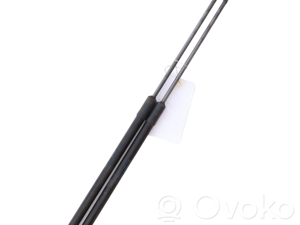 Audi Q2 - Tailgate/trunk strut/damper 