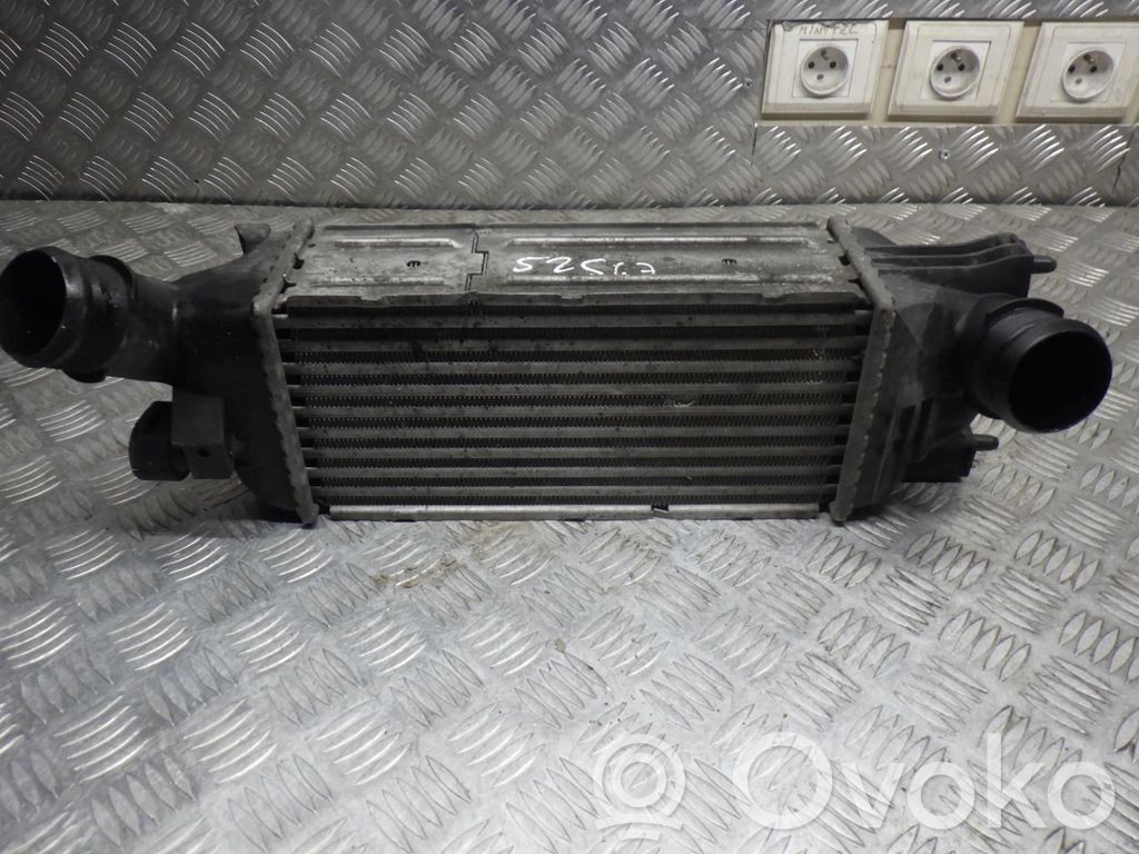 Interkūlerio radiatorius   00000384G6