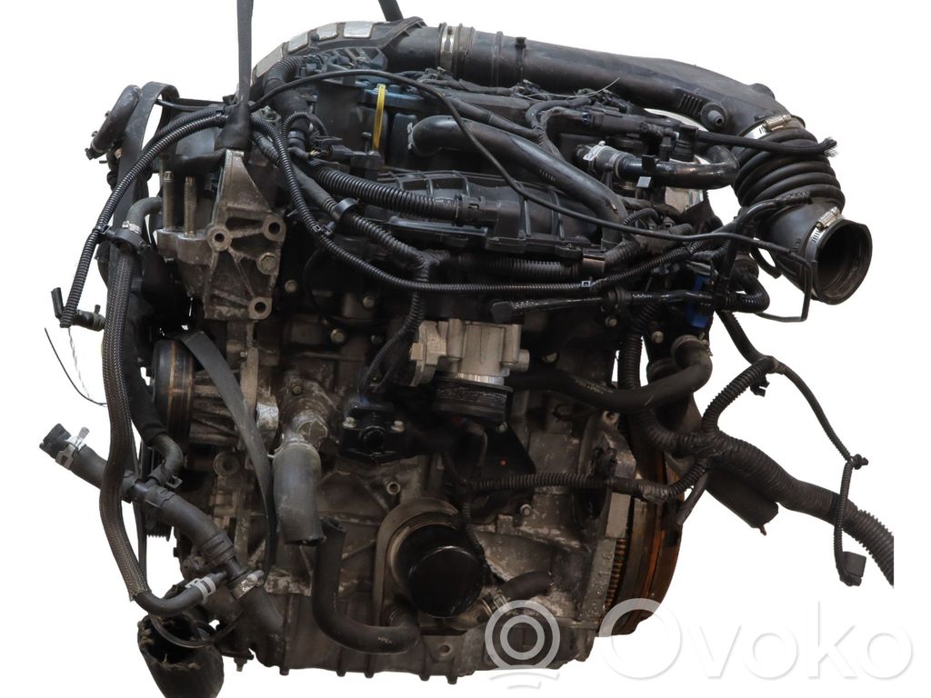 Ford Kuga II Variklis 