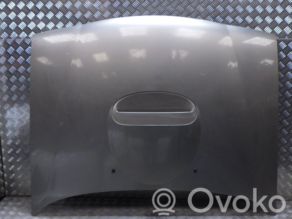 Dzinēja pārsegs (vāks)   651007F030