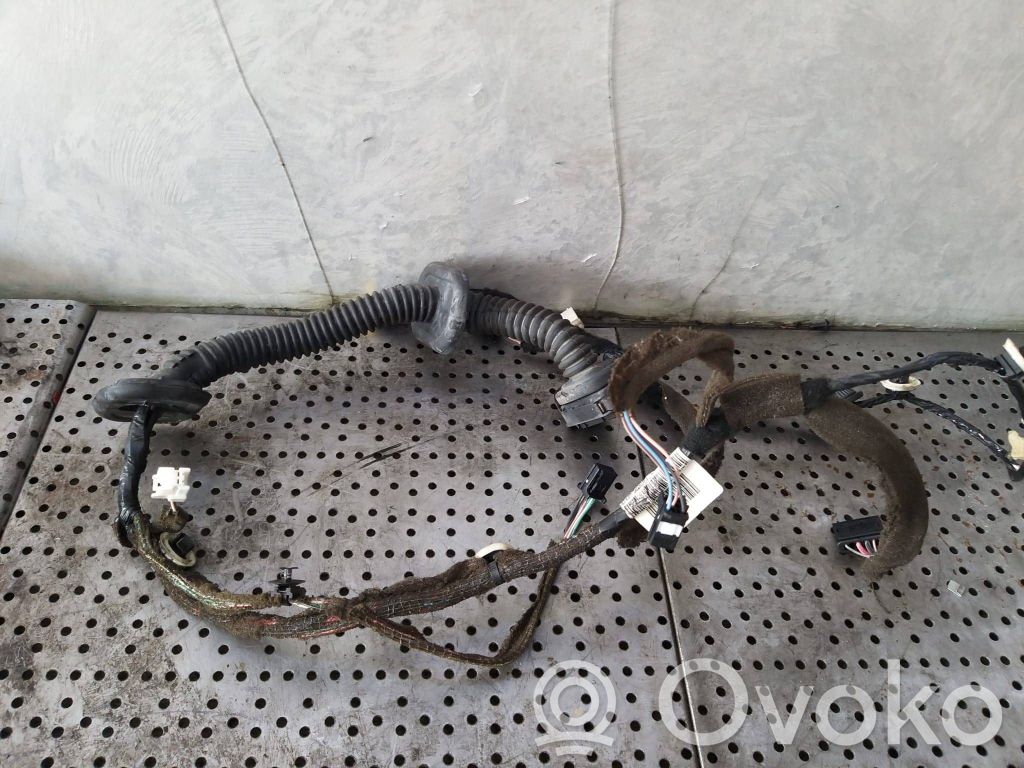 Renault Megane III Cableado de puerta delantera 