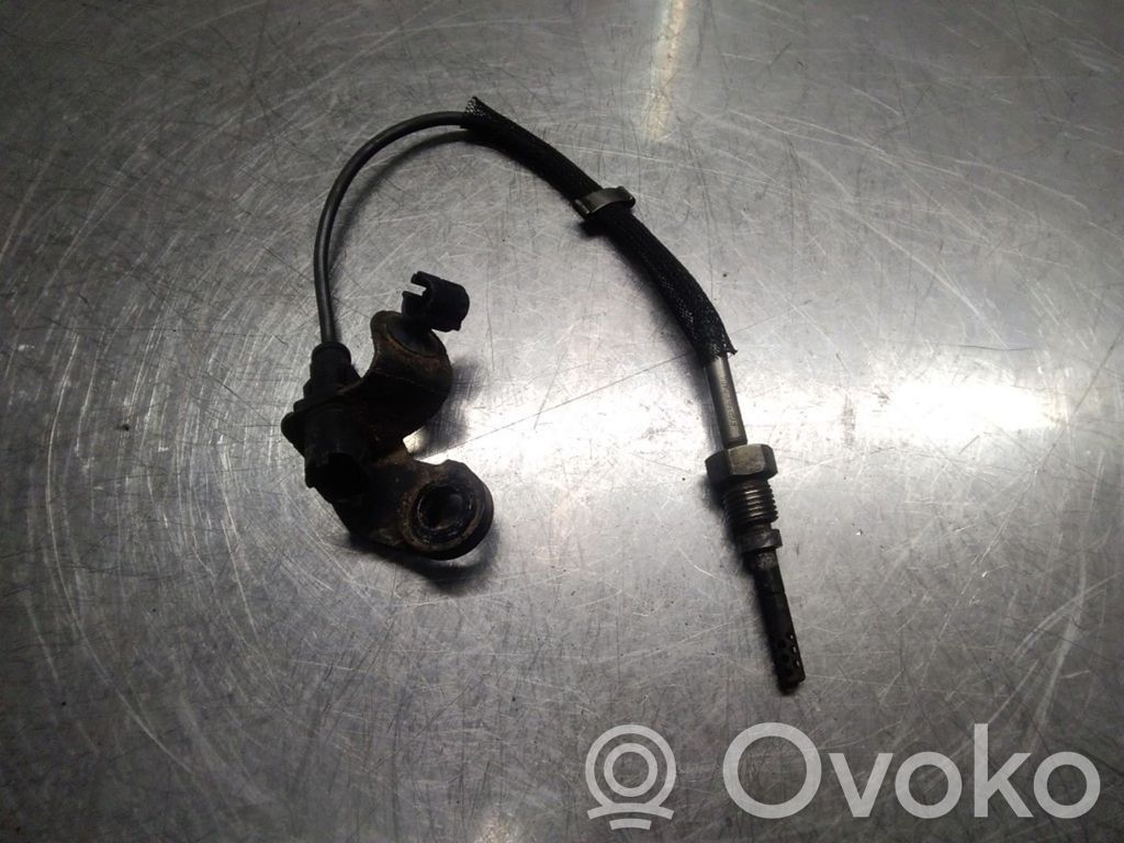 Abgastemperatursensor   ESNBTS200