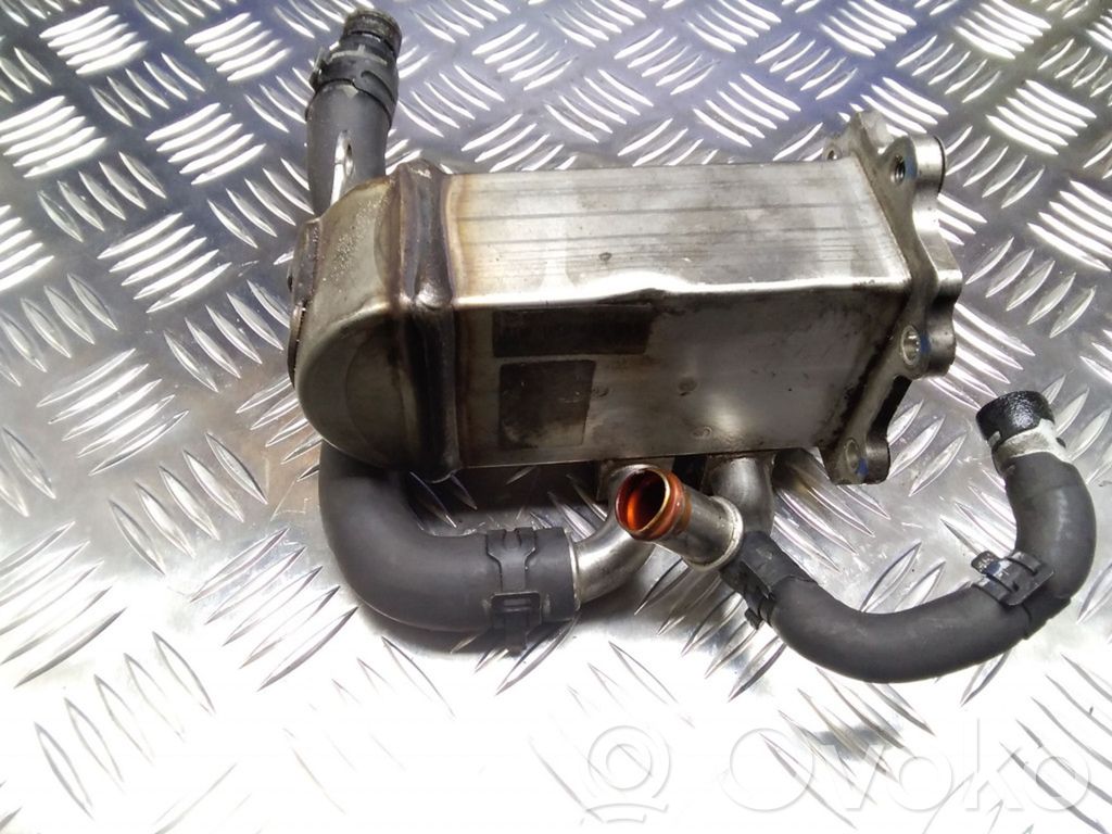 Audi A6 S6 C6 4F EGR aušintuvas 