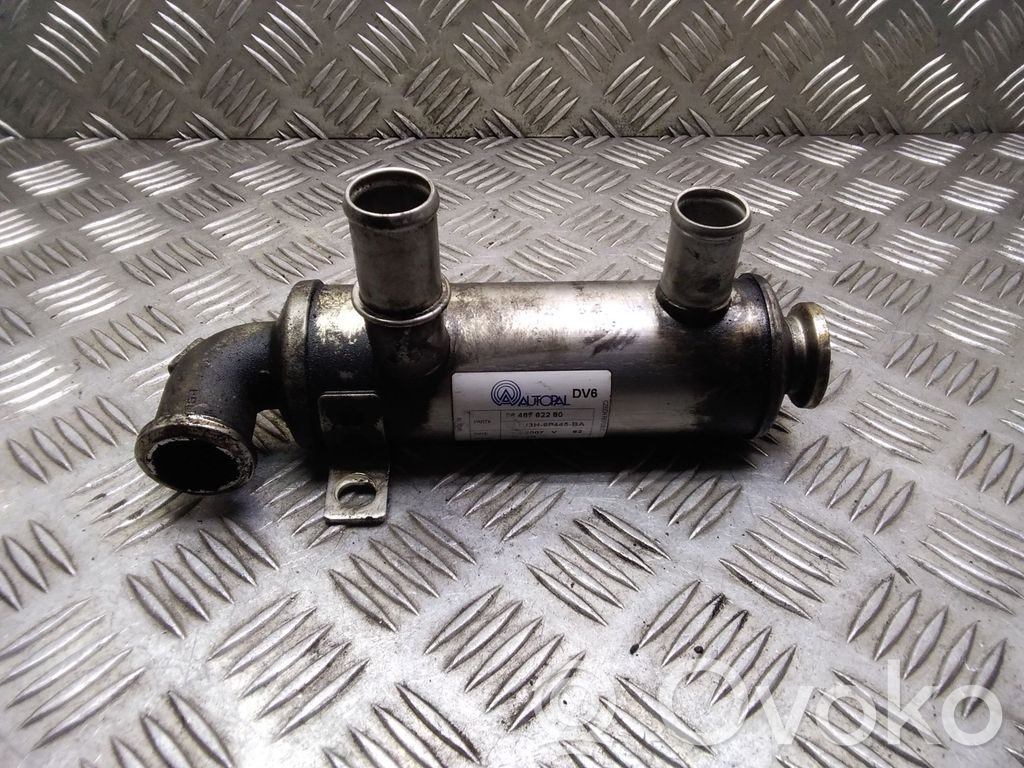 Citroen C4 I Picasso EGR dzesētājs 