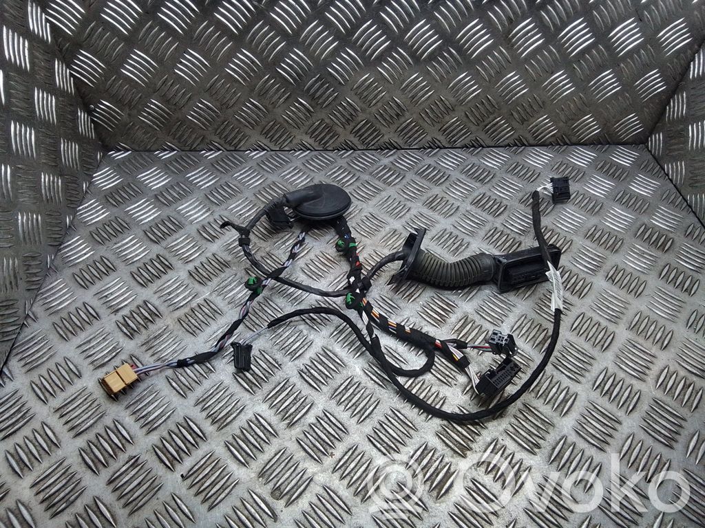 Volkswagen PASSAT B8 Cableado de puerta trasera 