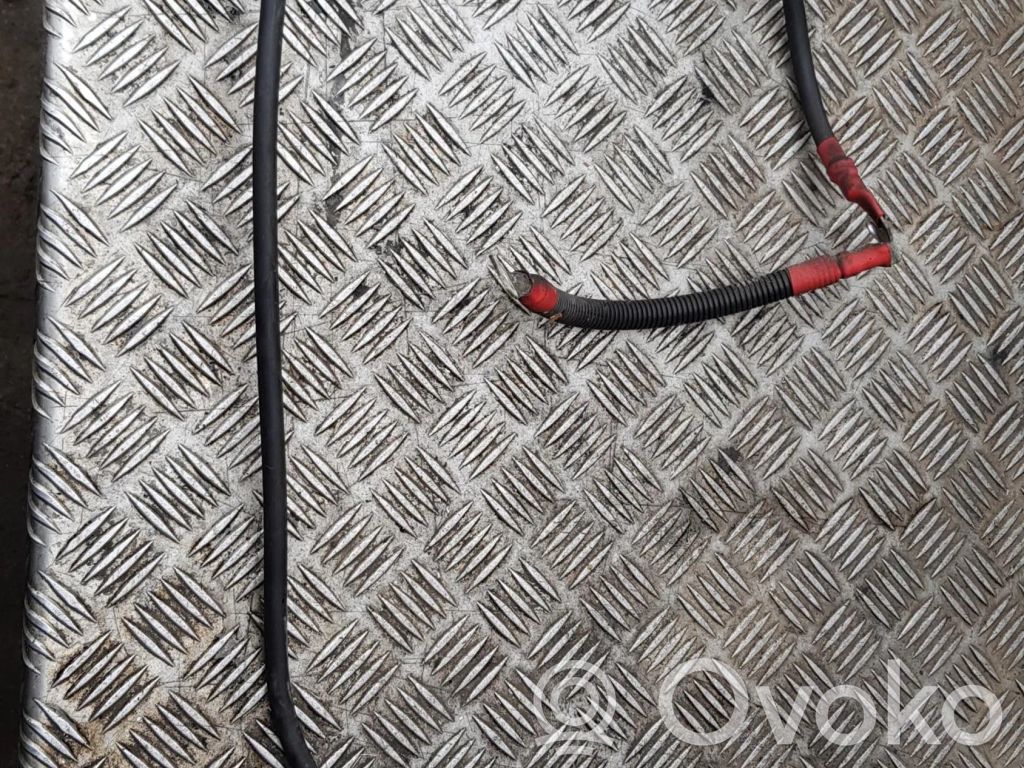 Minusinis laidas (akumuliatoriaus)   7787580