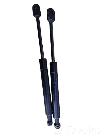 BMW X3 E83 Front bonnet/hood damper/strut 