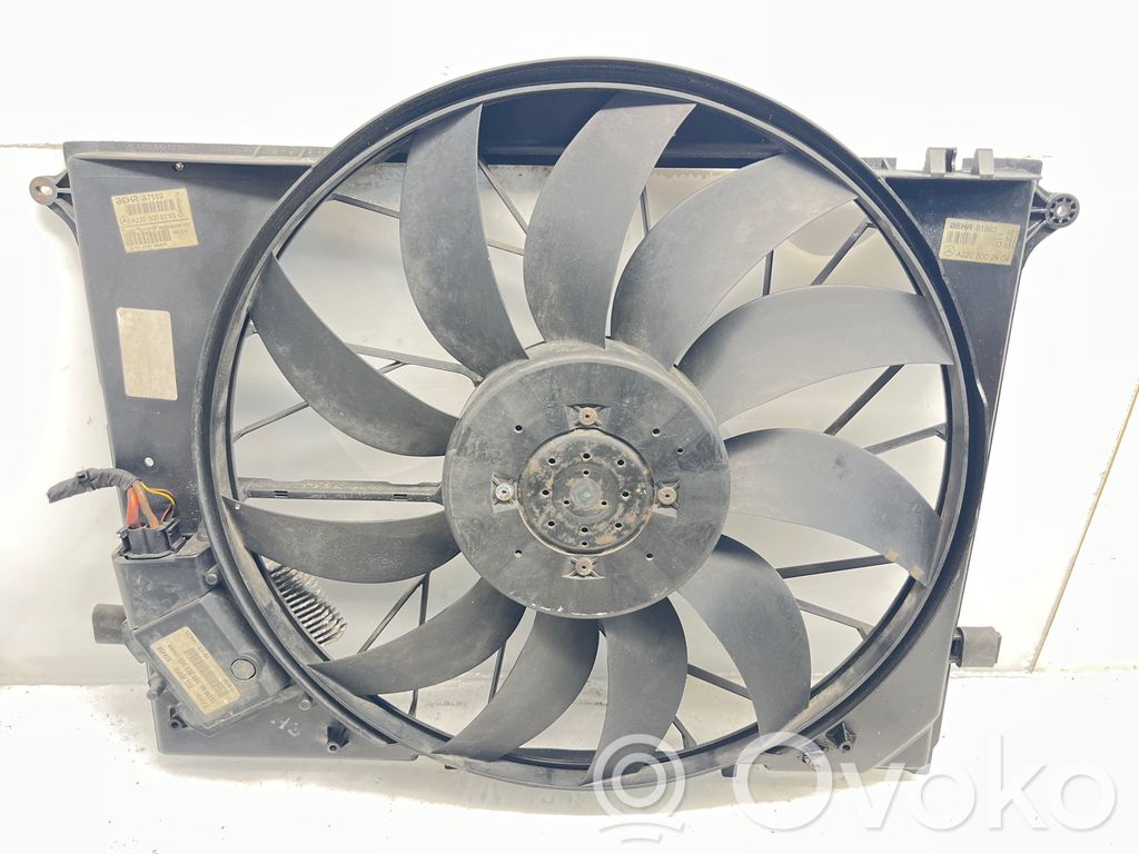 Mercedes-Benz S W220 Ventilatore di raffreddamento elettrico del radiatore 