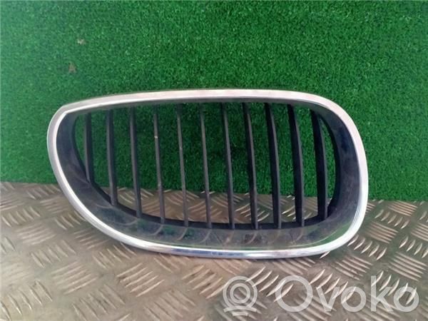 Bonnet/hood grill