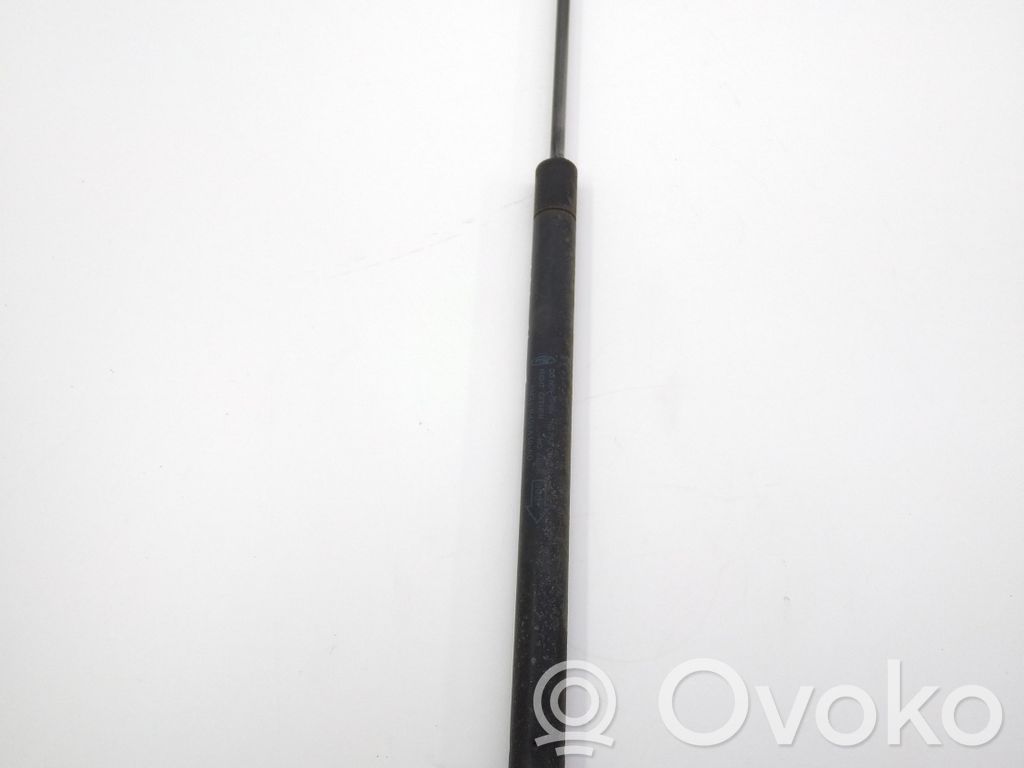 Ford S-MAX Tailgate/trunk strut/damper 