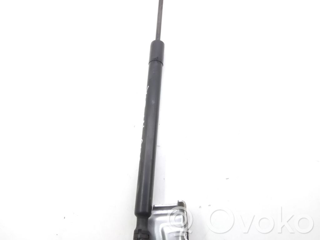 Renault Clio IV Tailgate/trunk strut/damper 