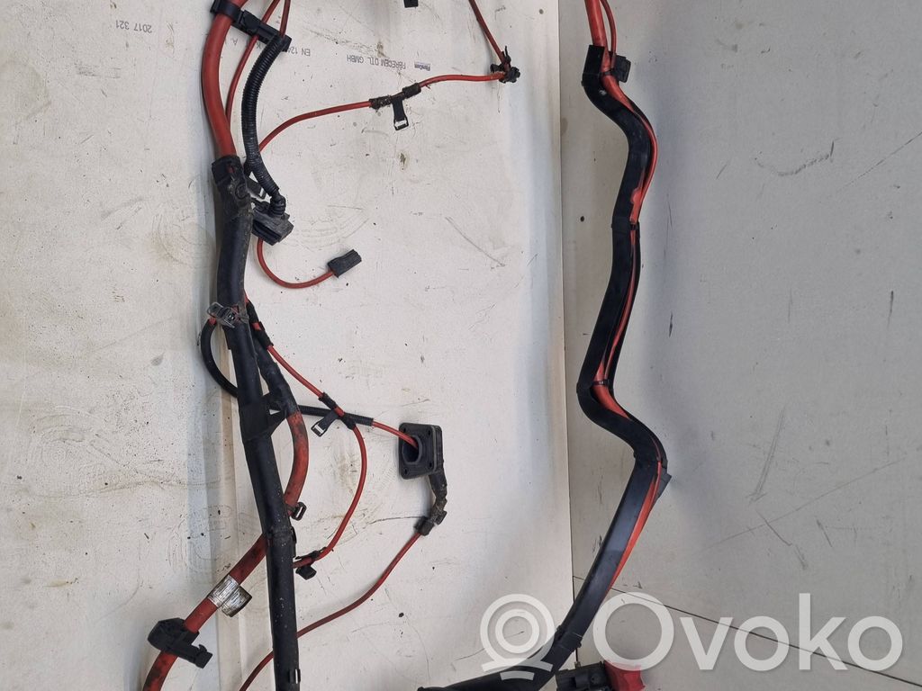 BMW X6 E71 Pliusinis laidas (akumuliatoriaus) 