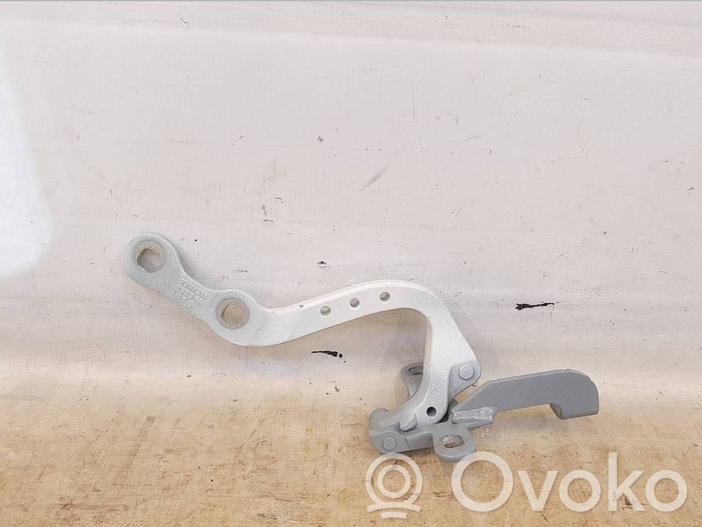 BMW X3 G01 Tailgate/trunk/boot hinge 