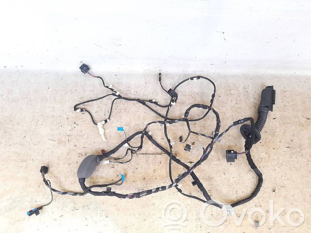 BMW X3 G01 Arnés/cableado de puerta delantera 