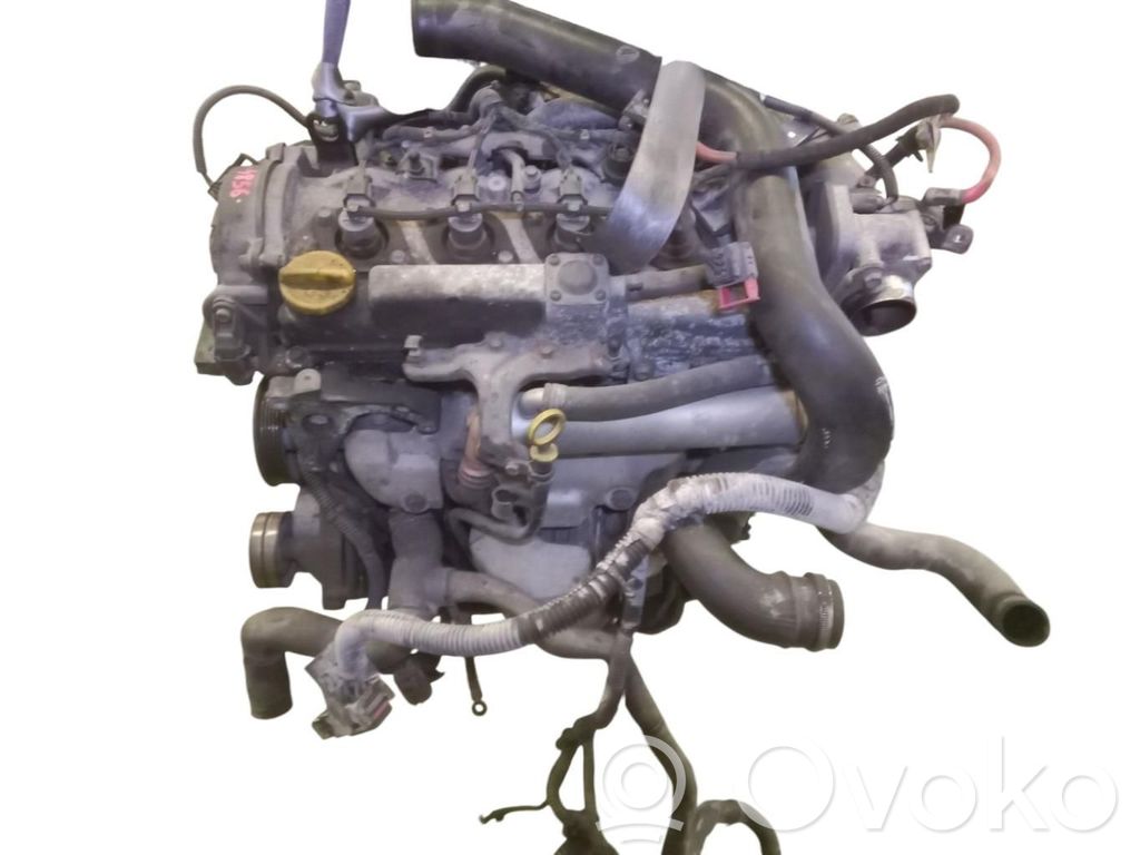 Motor   Z17DTH