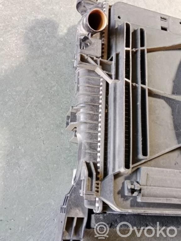 Ford C-MAX II Radiatore di raffreddamento 