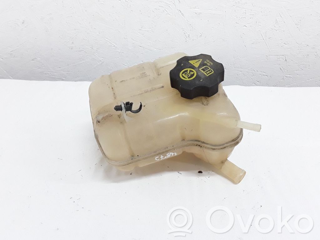 Cadillac SRX Serbatoio di compensazione del liquido refrigerante/vaschetta 