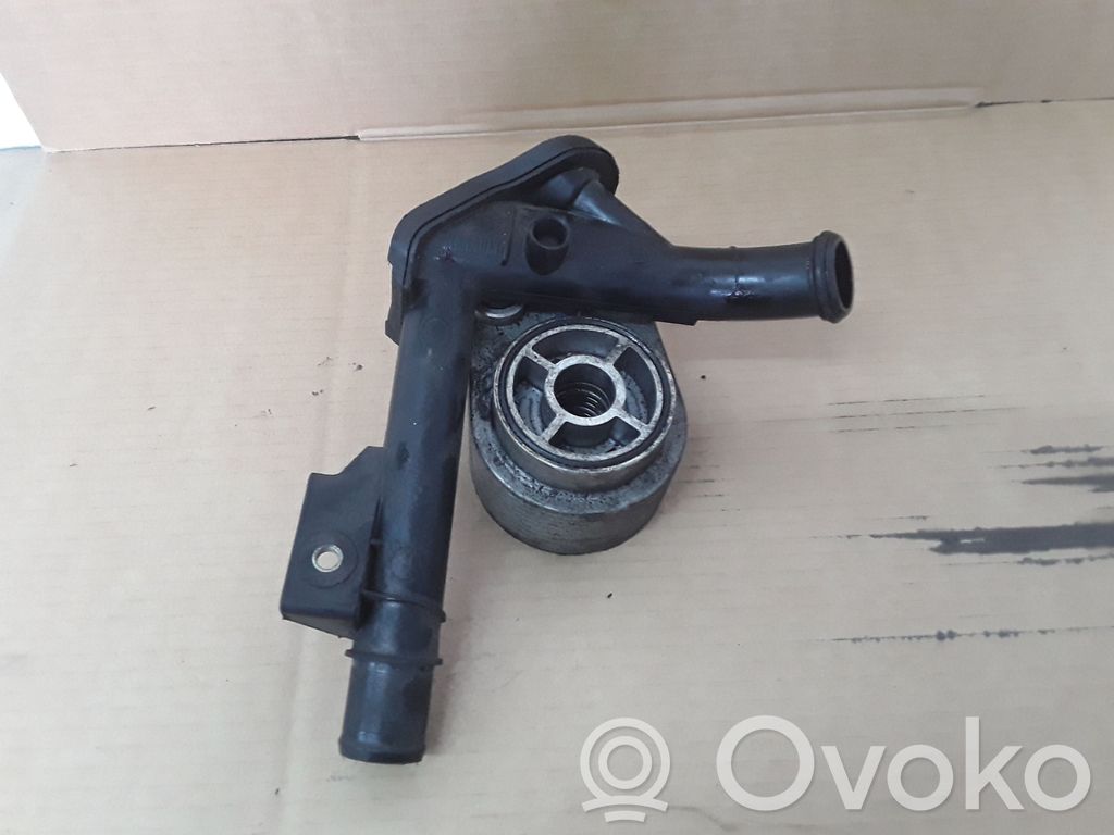 Renault Megane III Supporto di montaggio del filtro dell’olio